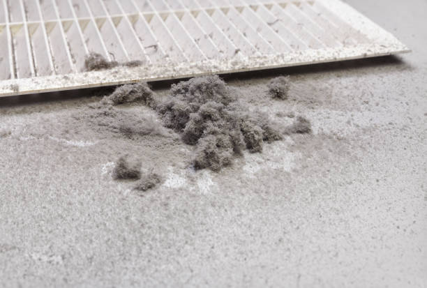 Best Home Air Vent Cleaning  in Meggett, SC