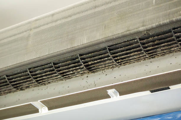 Best Best Air Duct Cleaning Near Me  in Meggett, SC